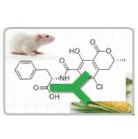 Monoclonal Mouse Anti-ochratoxin小鼠抗赭曲霉毒素