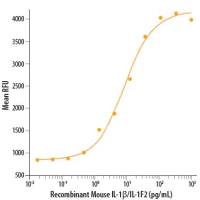 Recombinant Mouse IL-1 beta/IL-1F2 Protein 5ug(R&D Systems 401-ML 现货特卖)