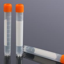 SSEA4 Monoclonal Antibody (eBioMC-813-70 (MC-813-70)), Alexa Fluor™ 488, eBioscience