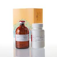 ONE-Glo™ Luciferase Assay System 100mL(Promega E6120 现货特卖)