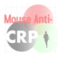 Monoclonal Mouse Anti-CRP(Human)小鼠抗C反应蛋白