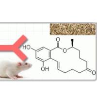 Monoclonal Mouse Anti-Zearalenone小鼠抗玉米赤霉烯酮