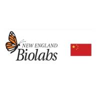 Magnesium Chloride (MgCl2) Solution(NEB B9021S 现货特卖)