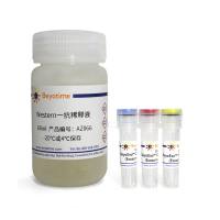 BeyoExo™外泌体鉴定试剂盒(CD63, CD9 & TSG101)