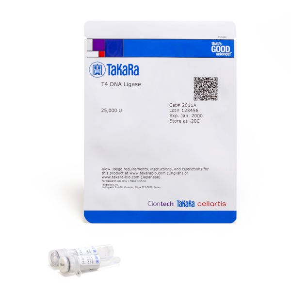 连接酶T4 DNA Ligase