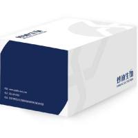 单克隆抗体定制服务