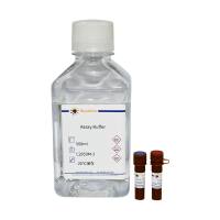 脂滴红色荧光检测试剂盒(LD540)