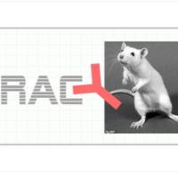 Monoclonal Mouse Anti-Ractopamine小鼠抗莱克多巴胺