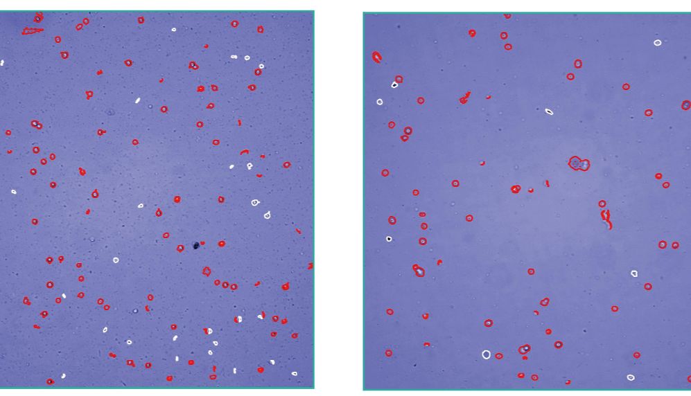 全自动单细胞悬液制备仪器操作指南：30分钟搞定实验难题