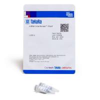 RNA限制酶mRNA Interferase™ -MazF