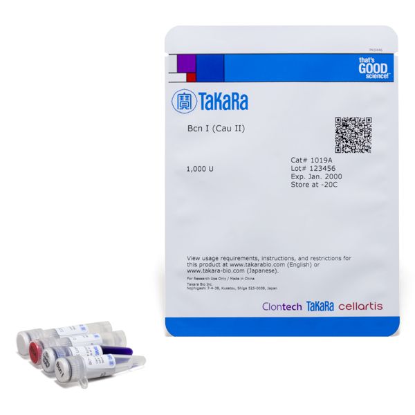 QuickCut系列限制酶