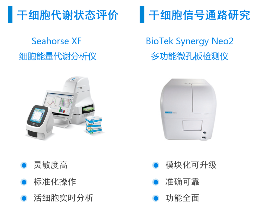 加速研究范式转化，类器官应用综合解决方案助力精准医疗与新药开发