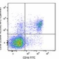 APC/Cyanine7 anti-human CD56 (NCAM) Antibody