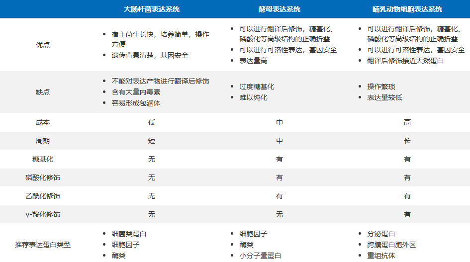 重组人MC1R蛋白(N-His)