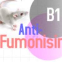 Monoclonal Mouse Anti-Fumonisin B1小鼠抗伏马菌素B1
