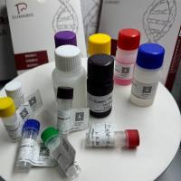 Fasciola spp.大片吸虫探针法荧光定量PCR试剂盒