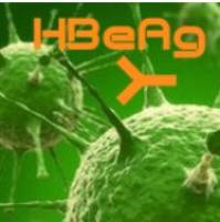 Monoclonal Mouse Anti-HBeAg小鼠抗乙肝e抗原