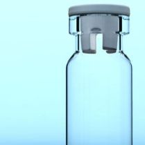 白假丝酵母菌株 56013 BIOMÉRIEUX/梅里埃