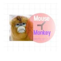 Monoclonal Mouse Anti-Monkey IgG小鼠抗猴IgG