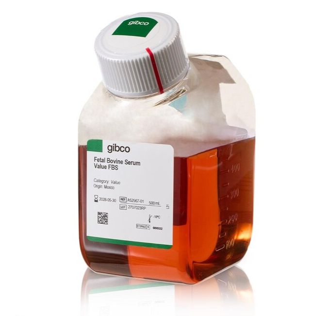 优级胎牛血清，巴西血源