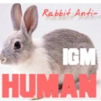 Rabbit Anti-Human IgM （u chain）兔抗人IgM（u chain）