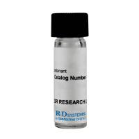 Recombinant Human IL-10 Protein 10ug(R&D Systems 217-IL/CF 现货特卖)