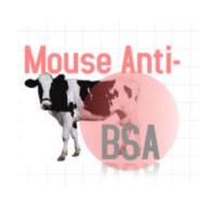 Monoclonal Mouse Anti-BSA 小鼠抗牛血清白蛋白