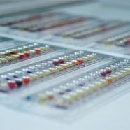 api肠杆菌和其它非苛养革兰阴性杆菌鉴定附加试剂套装 20120 BIOMÉRIEUX/梅里埃