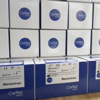 诺如1型GGI/2型GGII抗原快速检测试剂盒 说明书