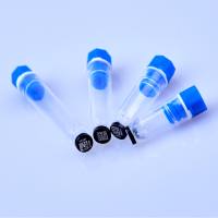 巴罗克-SBS96孔内旋冻存管