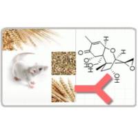 Monoclonal Mouse Anti-deoxynivalenol小鼠抗呕吐毒素