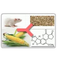 Monoclonal Mouse Anti-Aflatoxin B1小鼠抗曲霉素B1
