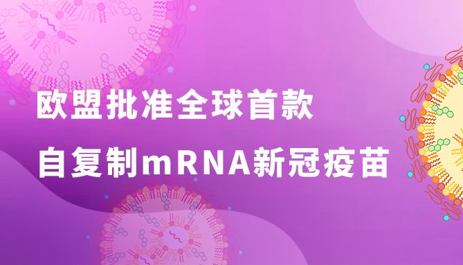 （EGFP saRNA试用装免费领）欧盟批准全球首-款自复制mRNA新冠疫苗，技术突破或推动基因治疗新浪潮
