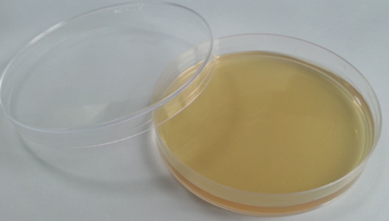 微生物实验培养基的制备和性能讲解