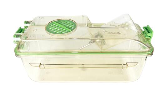 小鼠IVC饲养笼,IVC小鼠饲养笼