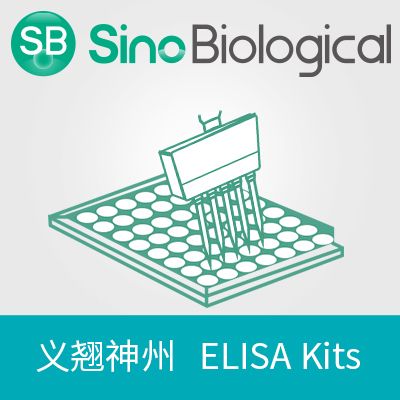 Mouse TNF-alpha ELISA Kit