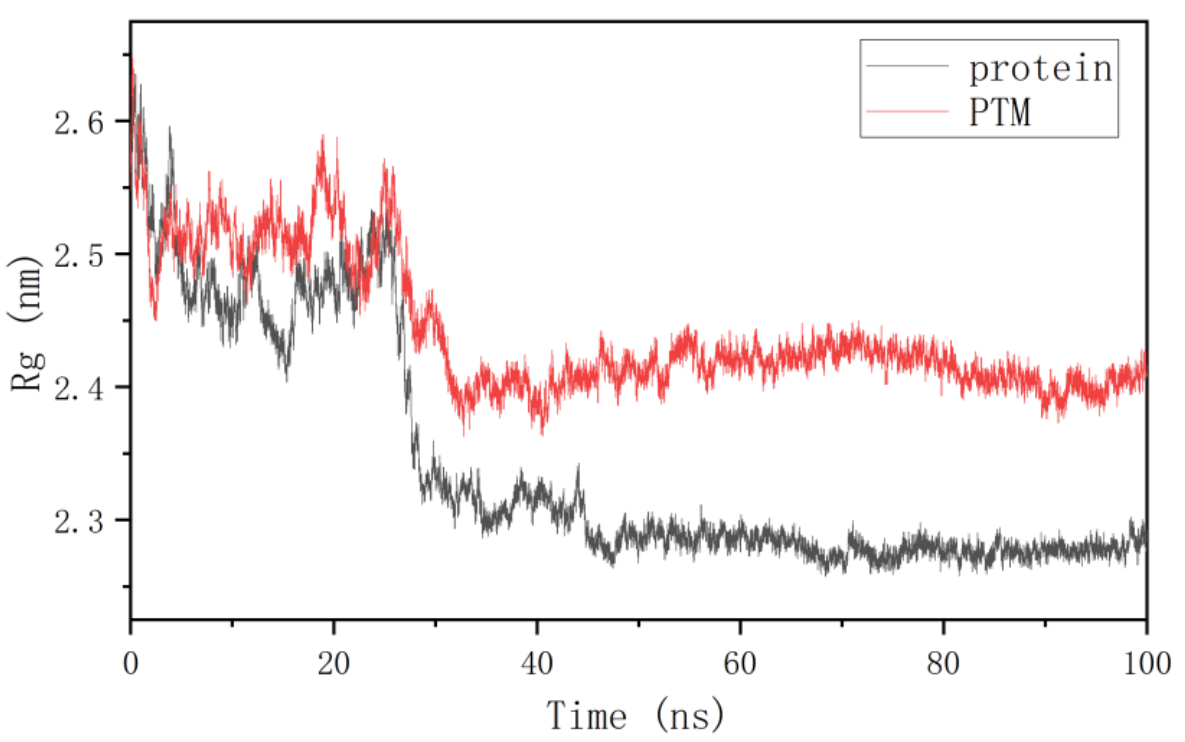 分子动力学模拟技术服务