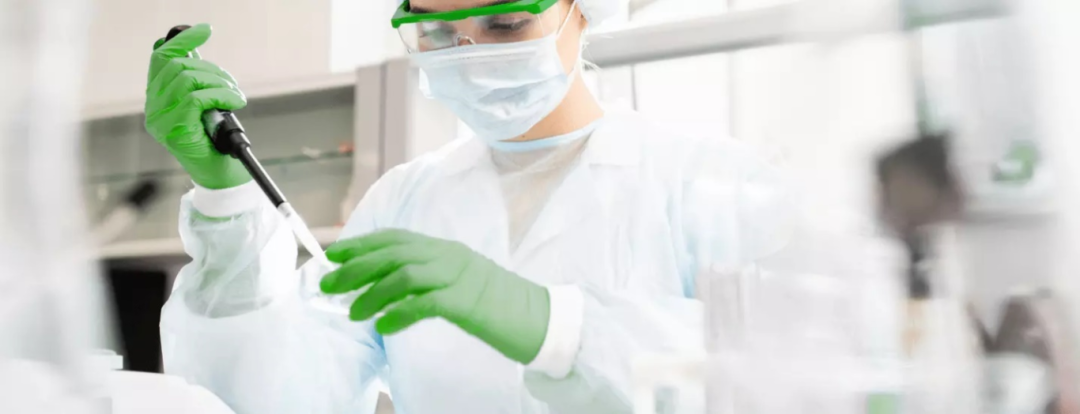 伯乐生命科学 2025 春季试剂耗材促销