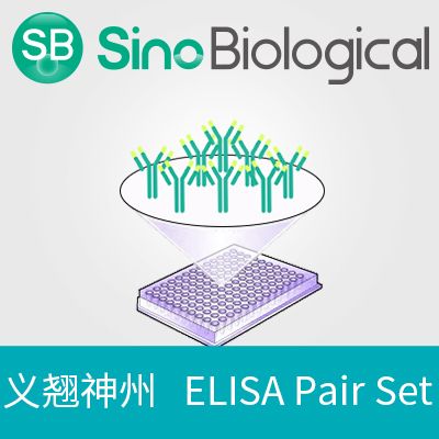 AcmNPV Envelope glycoprotein gp64 ELISA Pair Set