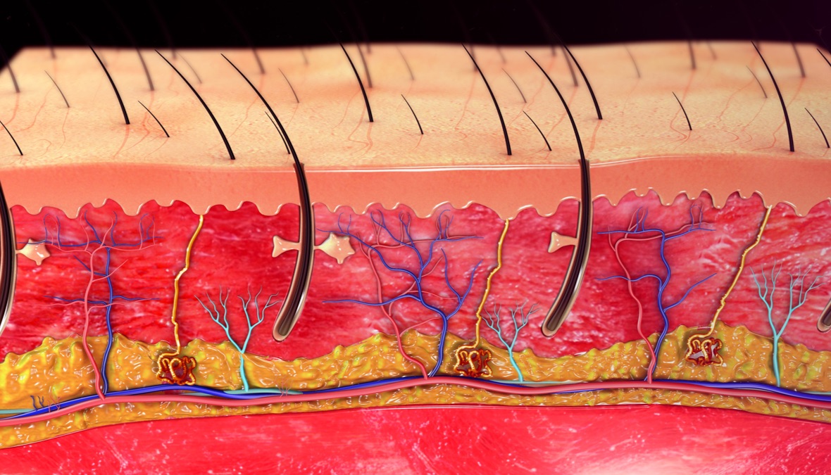 干货|生姜外泌体研究合集