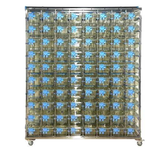 小鼠IVC饲养笼,IVC小鼠饲养笼