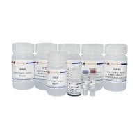 BeyoMag™磁珠法血液RNA抽提试剂盒