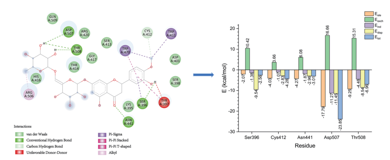 分子动力学模拟技术服务
