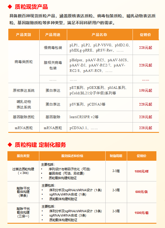 质粒/病毒载体/细胞系构建/感受态