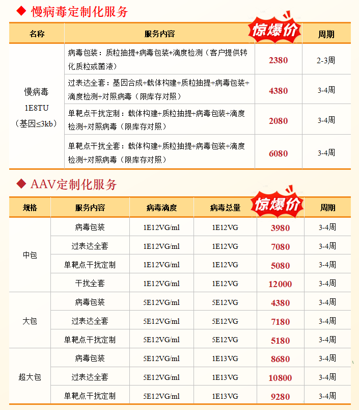 质粒/病毒载体/细胞系构建/感受态