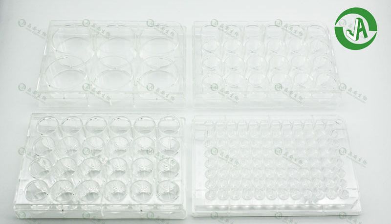 晶安生物多聚赖氨酸包被/明胶包被/纤连蛋白包被的介绍