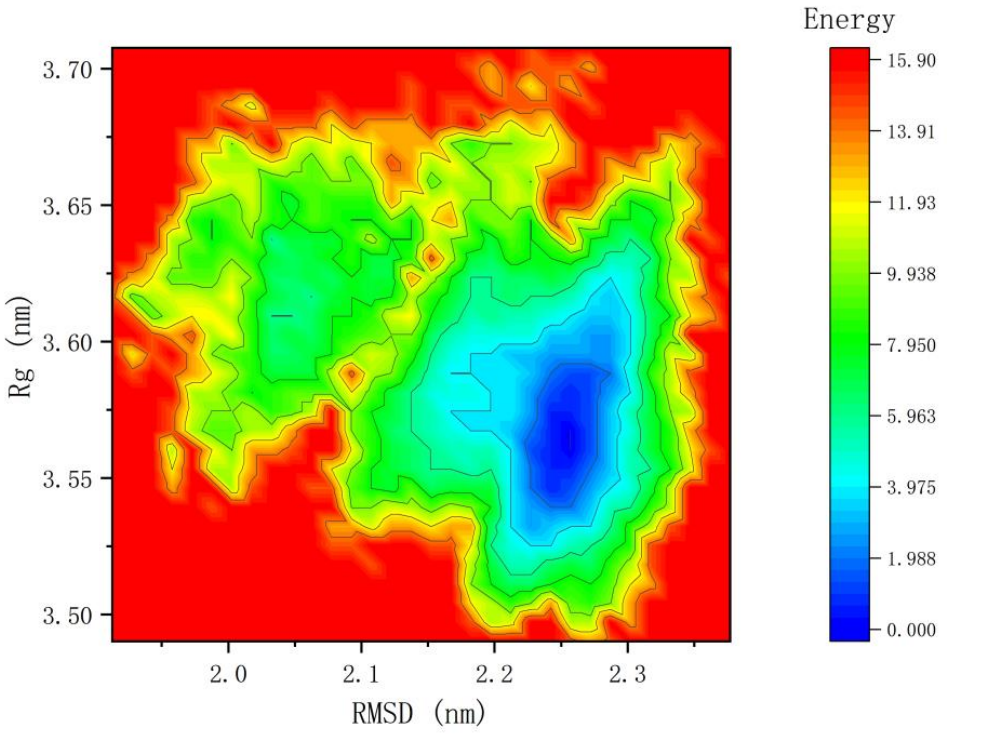 分子动力学模拟技术服务