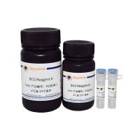 白蛋白检测试剂盒(BCG法)