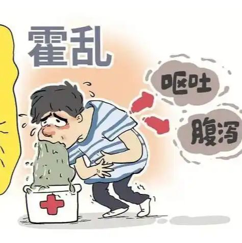 现货供应霍乱O1/O139群快速检测试剂盒