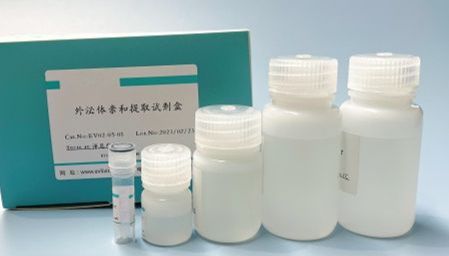 血浆外泌体亲和提取试剂盒（EVlent™)（25 T）